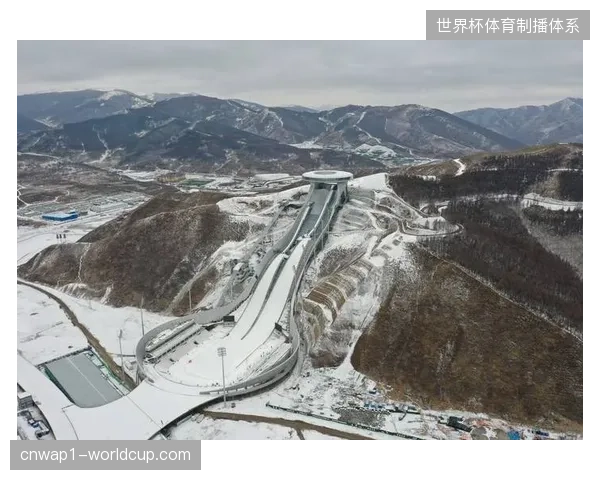 多哈场馆群安保资源盲目叠加却未优化动线布局引发的运营效率低下